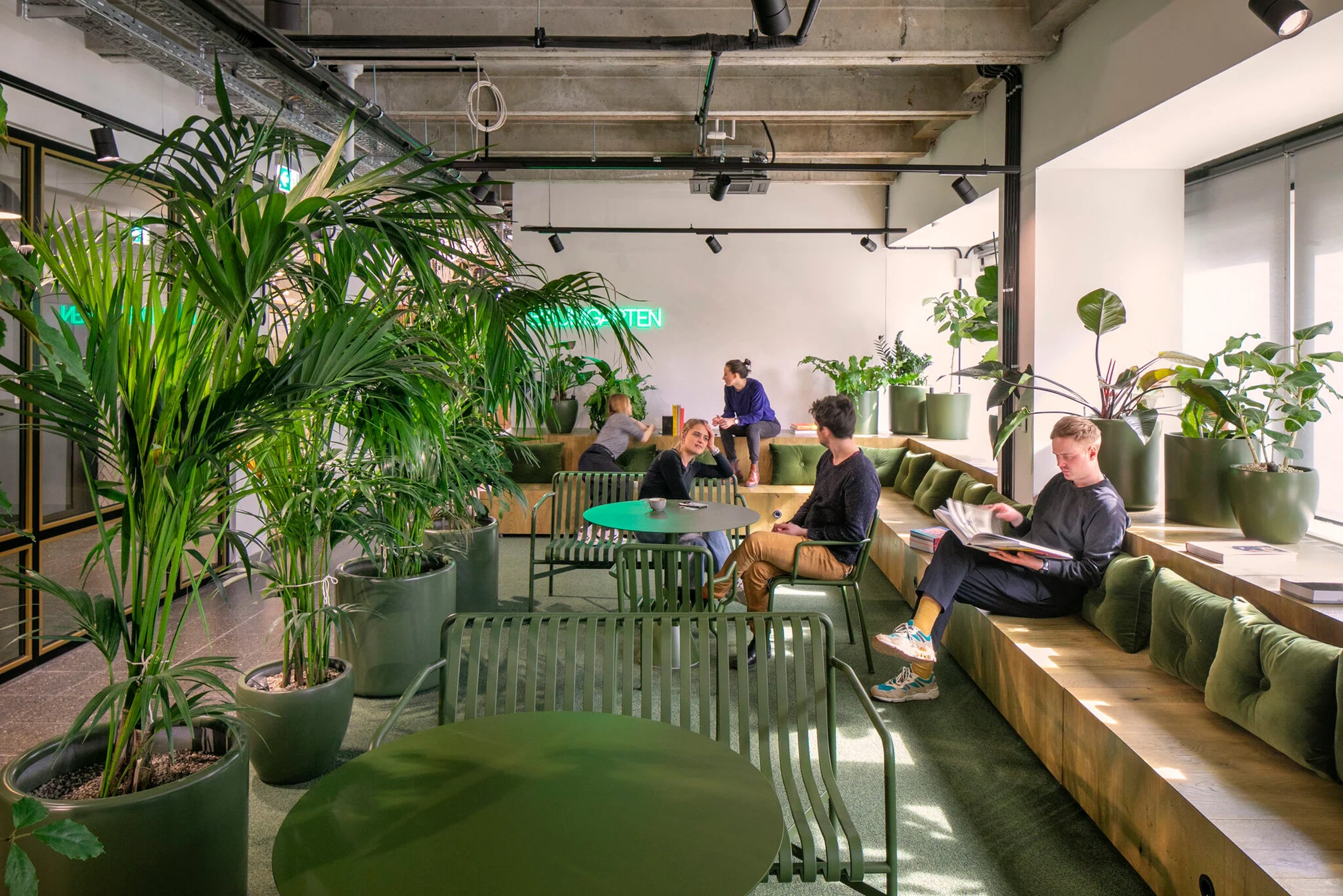 Biophilic collaboration space design — open team area with natural elements, Netherlands