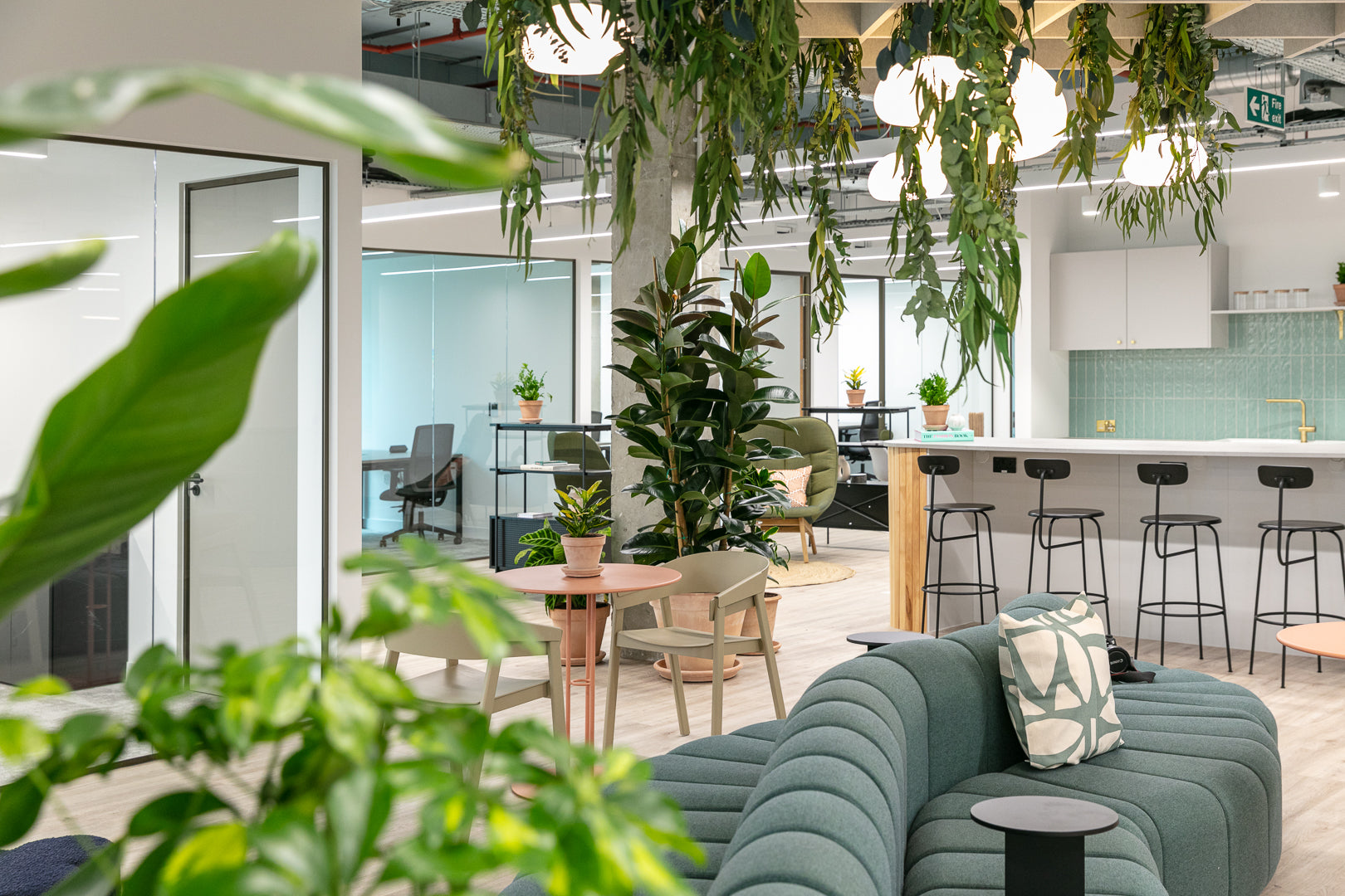 Nature-inspired creative workspace interior — plants and wood tones, Netherlands