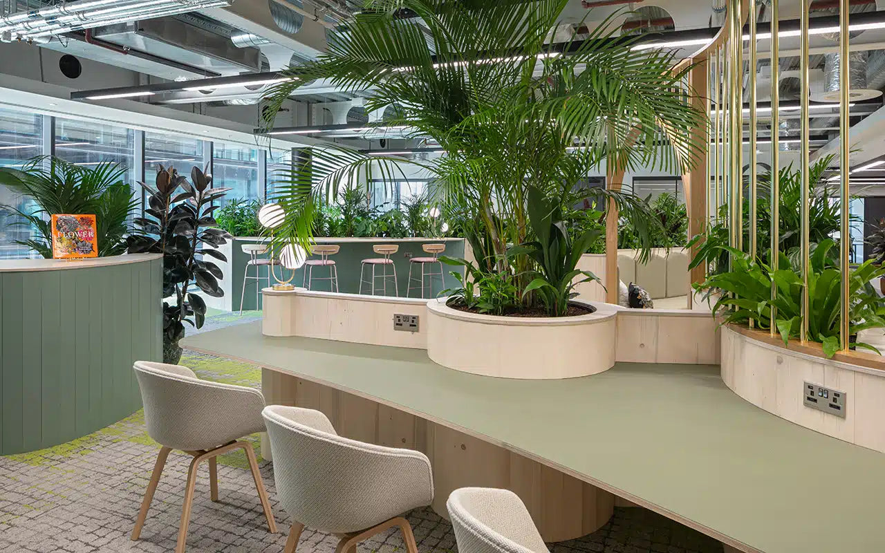 Biophilic office reception design — natural materials and warm lighting, Netherlands
